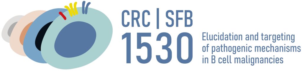 Das Logo des Sonderforschungsbereichs 1530 / Bildrechte: SFB 1530