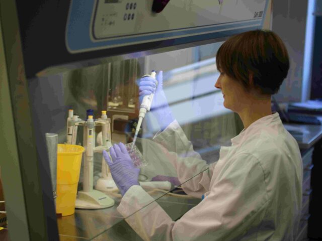 Wie beeinflussen Schilddrüsenhormone unser Immunsystem?